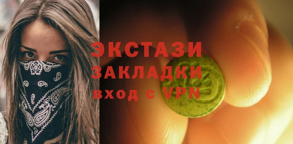 гидра Елабуга