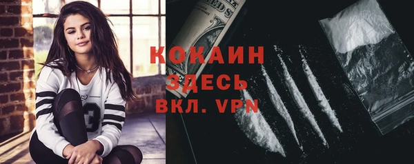 стафф Ельня