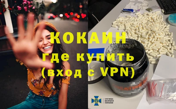 гидра Елабуга