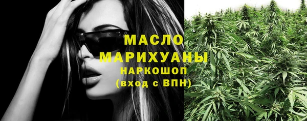 стафф Ельня