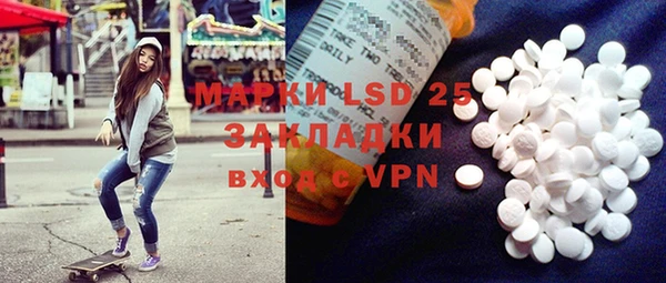 гидра Елабуга