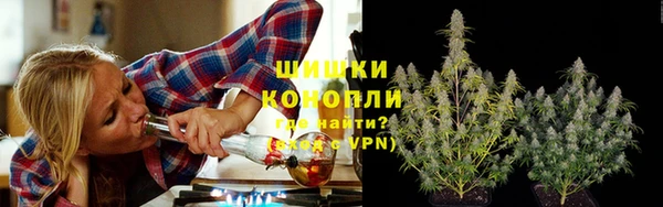 гидра Елабуга