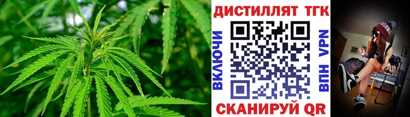 Дистиллят ТГК Wax  закладки  Заволжье 