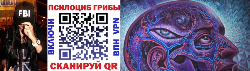 Галлюциногенные грибы Magic Shrooms  сколько стоит  Заволжье 