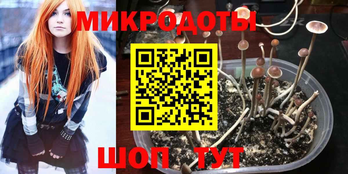 Галлюциногенные грибы Magic Shrooms  Вход с VPN  Заволжье 